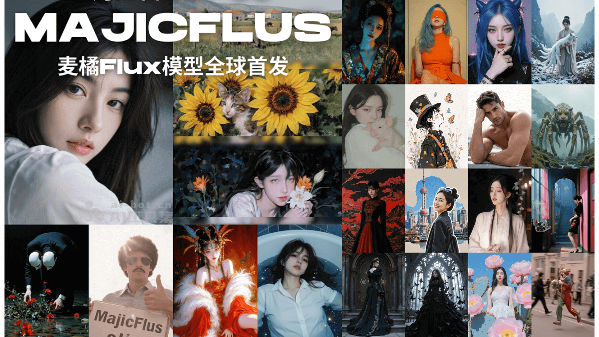 麦橘超然 – 麦橘推出的AI文生图模型,基于 Flux.1 架构